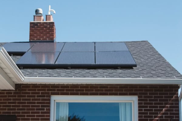 PEST CONTROL WALTHAM ABBEY, Essex. Services: Solar Panel Bird Proofing. Ensure the Protection of Your Solar Panels with Local Pest Control Ltd's Expert Bird Proofing Services in Waltham Abbey